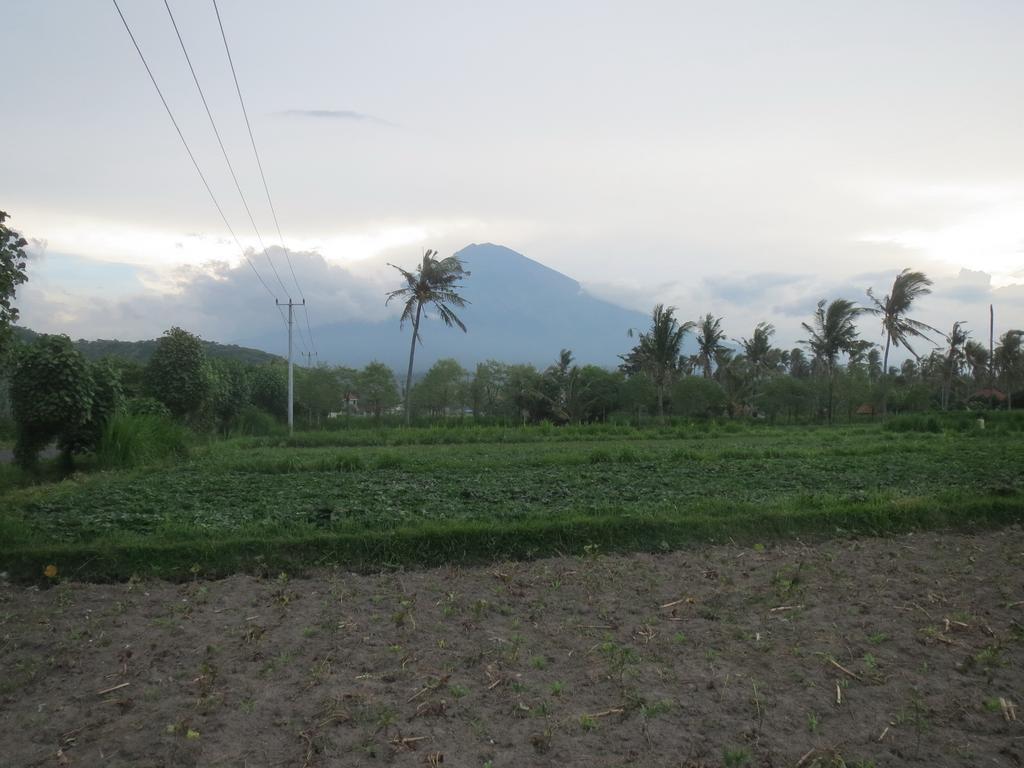 Mesari Homestay & Warung Амед Екстер'єр фото