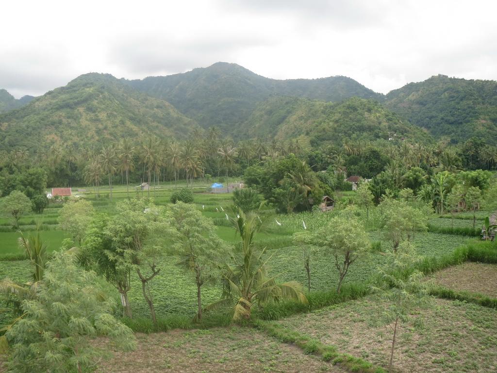Mesari Homestay & Warung Амед Екстер'єр фото